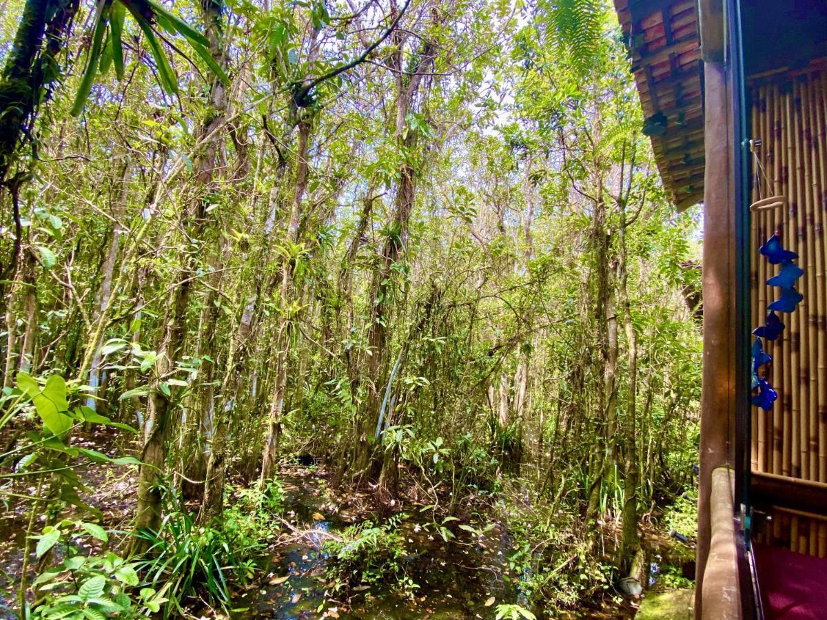 Maresias, Chalé H29 em condomínio de frente a Entrada 18 da praia e dentro da Mata Atlântica Sao Sebastiao (Sao Paulo) Exterior foto